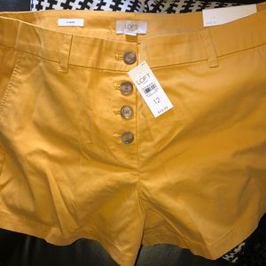 Brand new never worn Loft mustard khaki shorts!